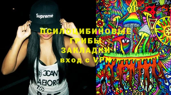 ПСИЛОЦИБИНОВЫЕ ГРИБЫ Майский