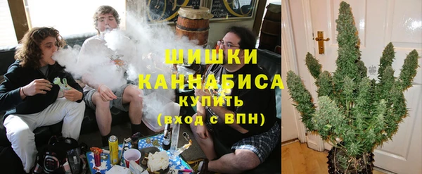 шишки Бугульма