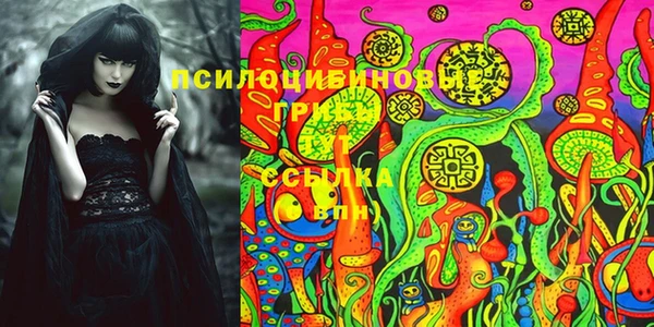 ПСИЛОЦИБИНОВЫЕ ГРИБЫ Майский