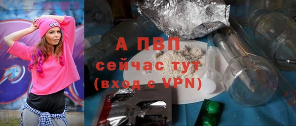 ПСИЛОЦИБИНОВЫЕ ГРИБЫ Майский